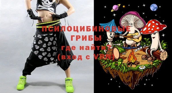 молекула духа Арсеньев