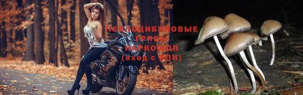 прущая мука Семикаракорск
