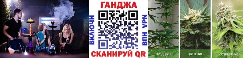 Конопля марихуана  купить закладку  Губкин 